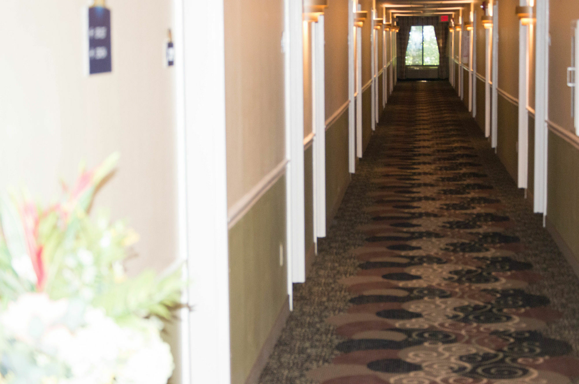 Aderi Near Casino Hotel 3*